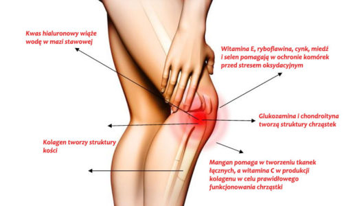 Choroba zwyrodnieniowa stawów (ChZS) – jak sobie z nią radzić