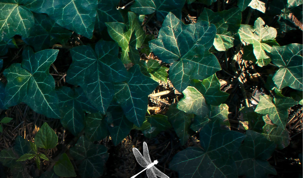 Inspirowane klasyką z rockowym i delikatnie męskim sznytem