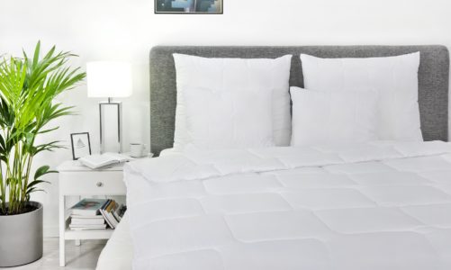 Chroń swoje łóżko przed niechcianymi gośłmi