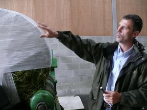 Tajemnicza więź łącząca bliźnięta