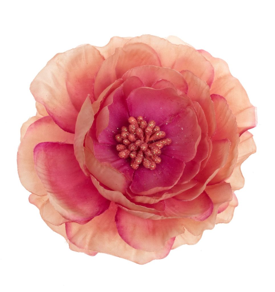 Coral flower