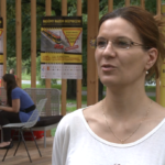 Piesi i kierowcy samochodów to sprawcy większości wypadków z udziałem tramwajów