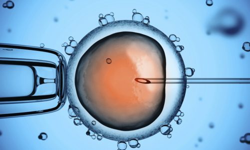 Rynek in vitro w Polsce owiany tajemnicą