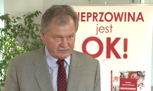Galaretka z wieprzowych nóżek jest najlepszym źródłem naturalnego kolagenu