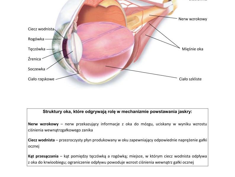 Jaskra – podstawowe informacje
