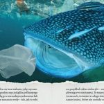 Minęło ponad 150 lat od wynalezienia plastiku! Świętujemy?