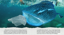 Minęło ponad 150 lat od wynalezienia plastiku! Świętujemy?