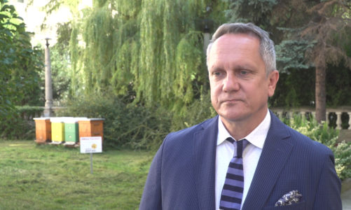 Stan ochrony zwierząt w Polsce pozostawia wiele do życzenia. Trwają prace nad zmianą prawa