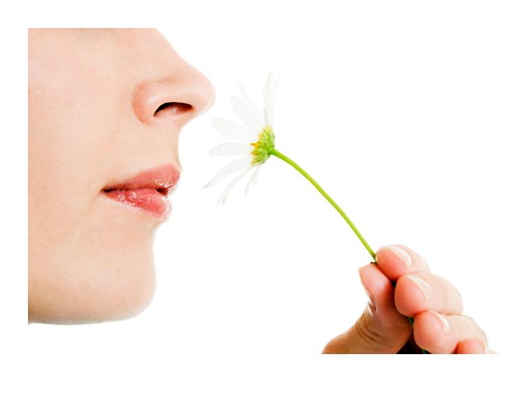 Z garbem, za szeroki, zbyt płaski, słowem – do poprawki. Jak nieoperacyjnie zmienić swój nos?