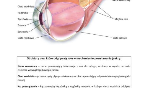 Jaskra – podstawowe informacje