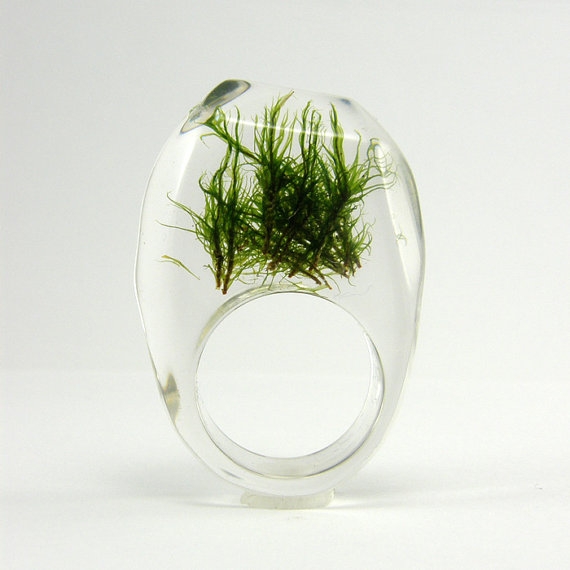 Sylwia Całus Shwrm.pl 160zł