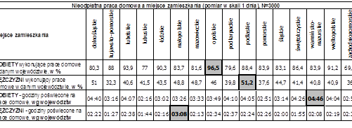 Powoli wyrównuje się dysproporcja w podziale obowiązków w polskim domu, jednak nadal codzienne prace domowe w większym stopniu obarczają Polki niż Polaków