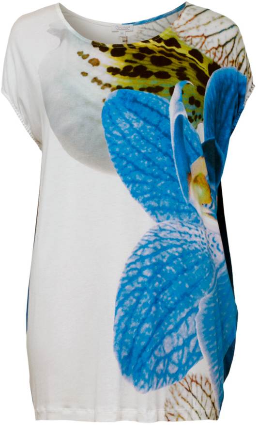 SOLAR_SS13_ZA023419_p-2013-016