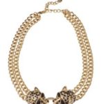 Uszy królika, cętki leoparda i ptasi pazur