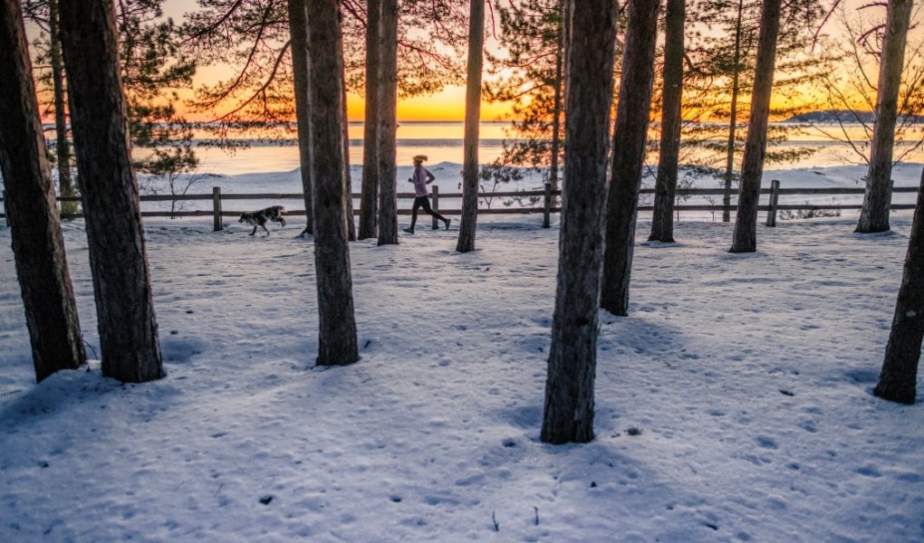 Najważniejsze elementy treningu biegowego dla duszy i ciała