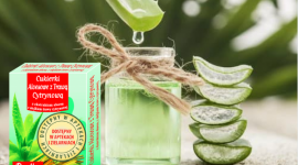 Cudowny Aloes – zatrzymaj czas!