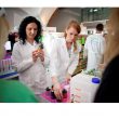 Instytut Chemii Nadużywanej projekt edukujący w zakresie dodatków do żywności