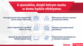 6 sposobów, dzięki którym nauka w domu będzie efektywna