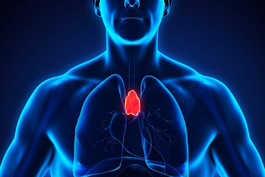 Grasica Fenomen grasicy – niezastąpiony parasol ochronny naszego organizmu