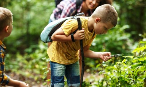 10 pomysłów na majówkę bliżej natury